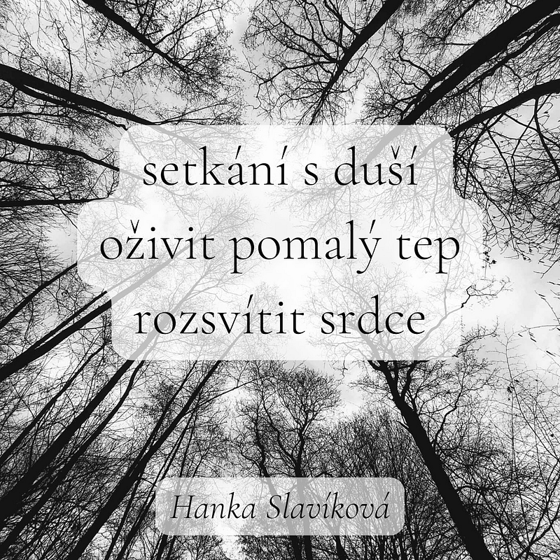 Haiku pro noviny 2