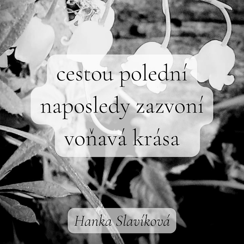 Haiku pro noviny 3