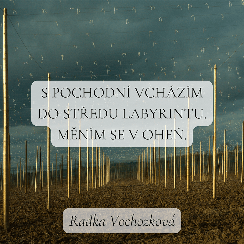Haiku pro noviny