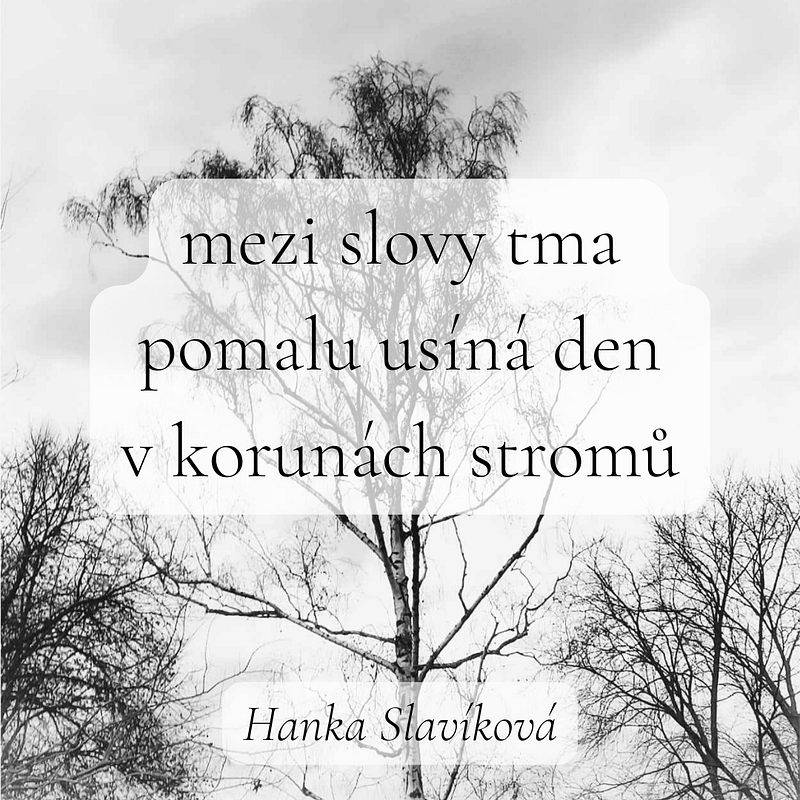 Haiku pro noviny_HS 2
