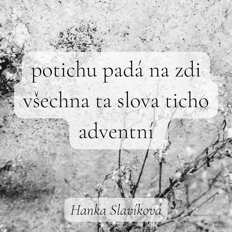 Haiku pro noviny_HS