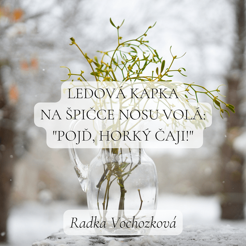 Haiku pro noviny_RV