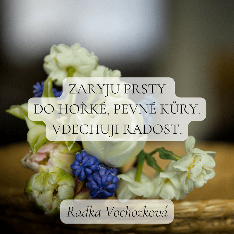Haiku pro noviny_rv 3