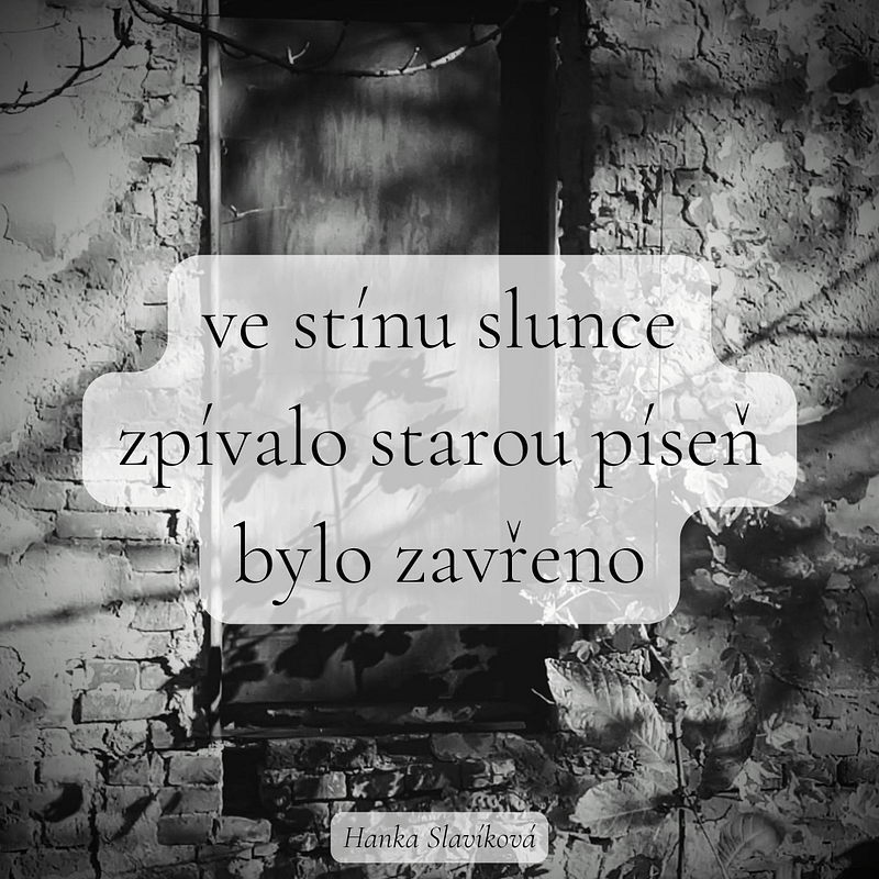 ODPOLEDNÍ HAIKU