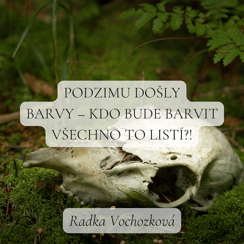 RV_říjen