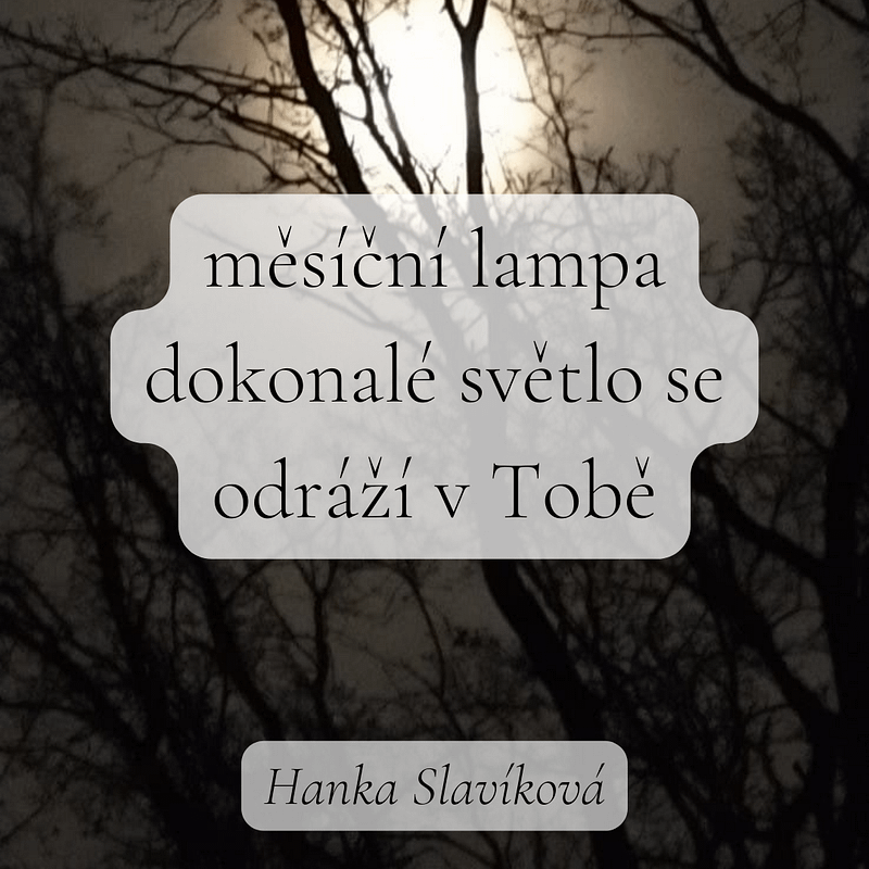 Slavíková_Haiku pro noviny