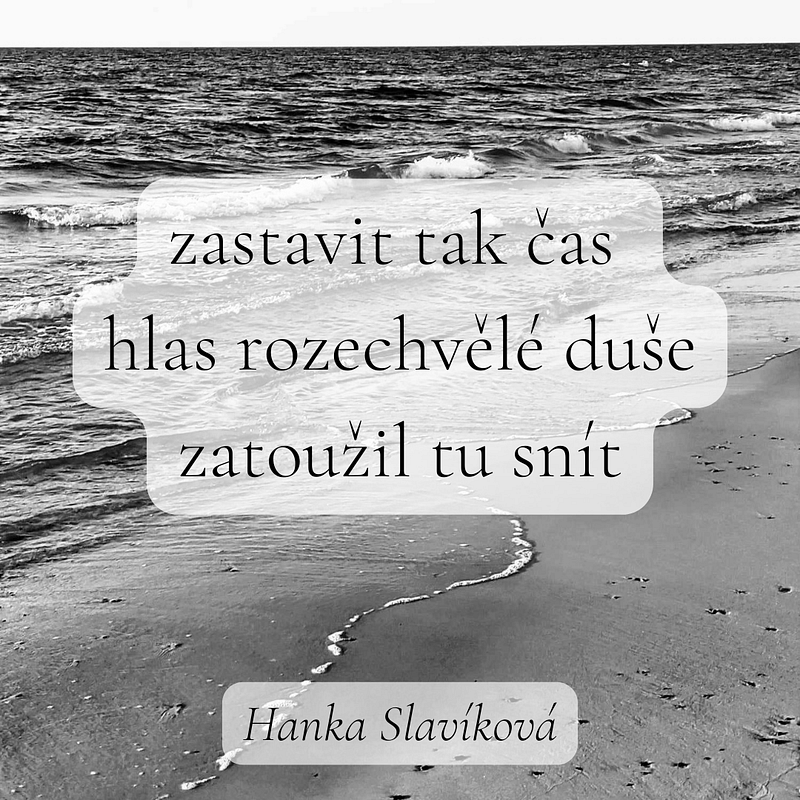 Haiku pro noviny