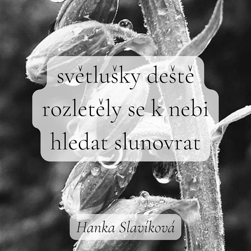 Haiku pro noviny